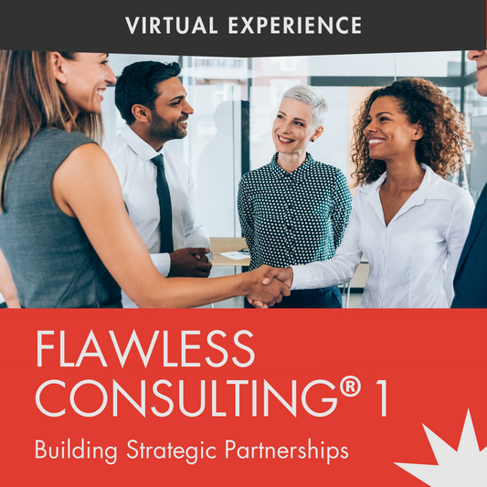 Flawless Consulting 1 - The Virtual Experience