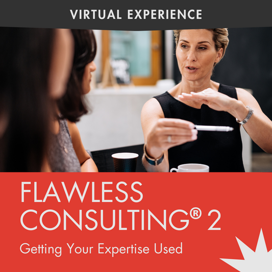 Flawless Consulting 2 - The Virtual Experience